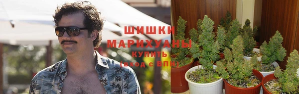 стафф Баксан