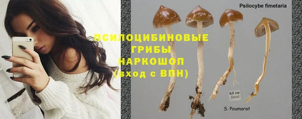 ПСИЛОЦИБИНОВЫЕ ГРИБЫ Аркадак