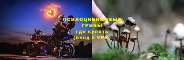стафф Баксан