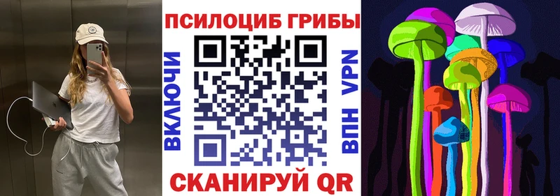 blacksprut ссылки  Кировск  Галлюциногенные грибы мухоморы  купить  