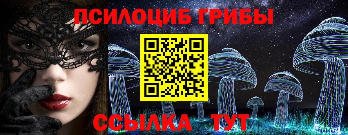Псилоцибиновые грибы Cubensis Кировск