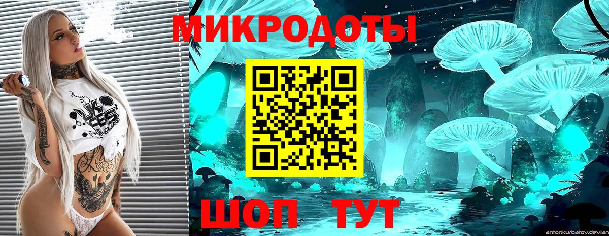 Кировск  Галлюциногенные грибы Psilocybe  Вход с VPN 